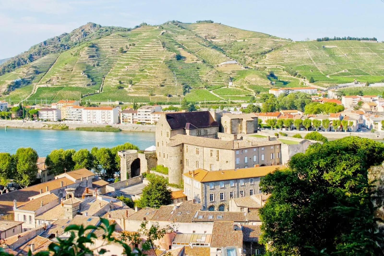 トゥルノン・シュル・ローヌLe Clos Du Rhone - Hypercentre - Wifiアパートメント エクステリア 写真